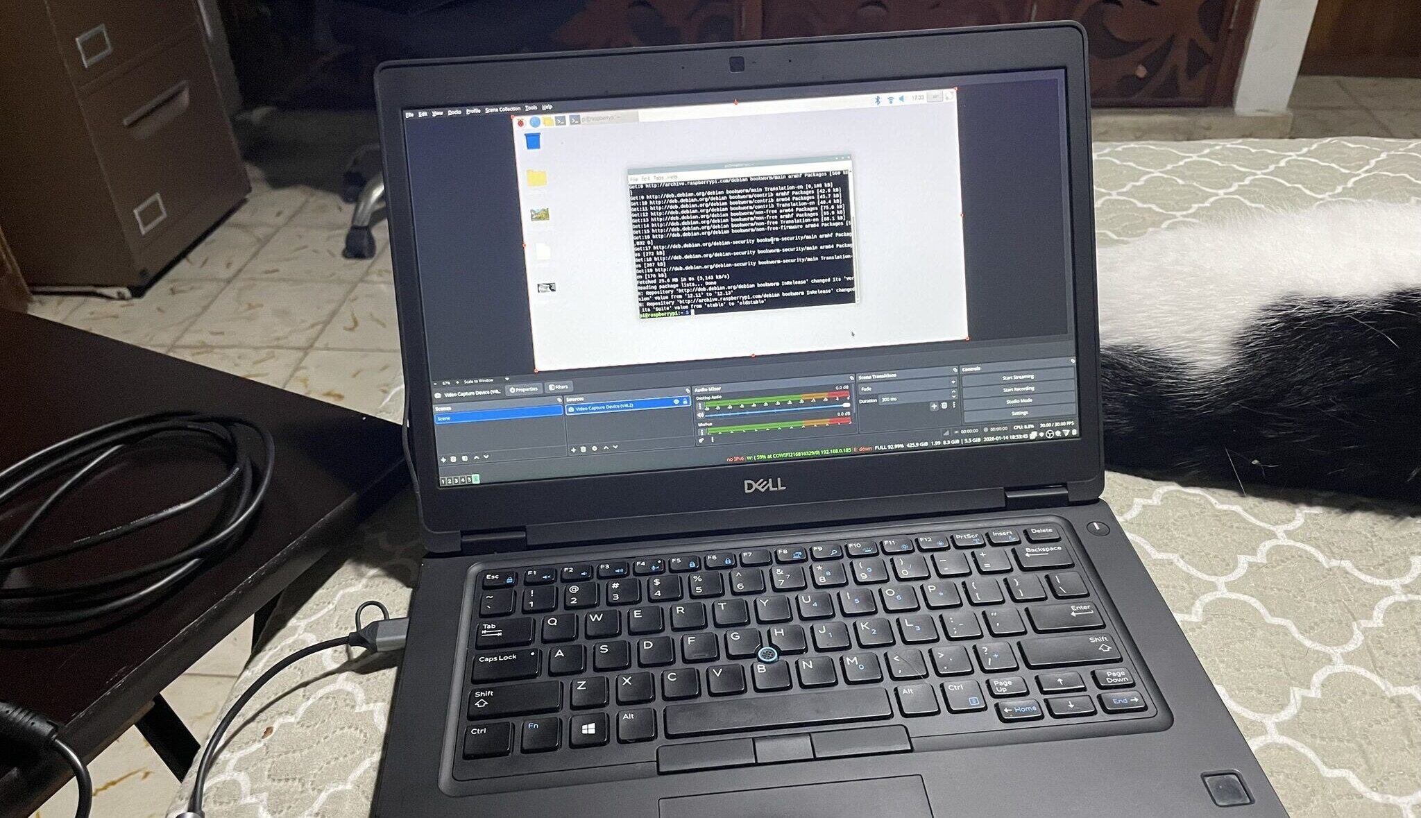 Streaming RPi output via OBS